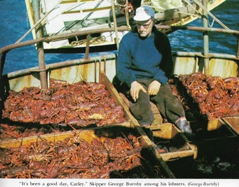 Listing 8 of 10 for Tales Of A Storyteller - Take A Stroll Through 20th Century New Zealand