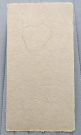 Listing 5 of 6 for Vintage Studio Photo of Beautiful Young Woman. Webber, Brunswick, Maine, U.S.A.