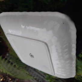 Listing 5 of 18 for AYNSLEY paradise bird DISH