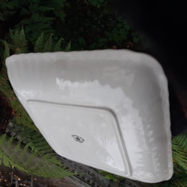 Listing 8 of 18 for AYNSLEY paradise bird DISH