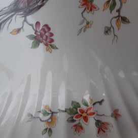 Listing 10 of 18 for AYNSLEY paradise bird DISH