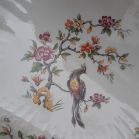 Listing 4 of 18 for AYNSLEY paradise bird DISH