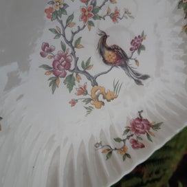 Listing 7 of 18 for AYNSLEY paradise bird DISH