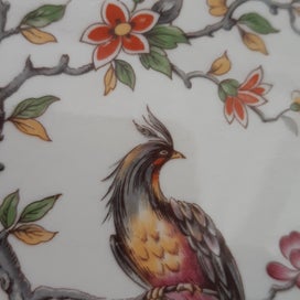 Listing 9 of 18 for AYNSLEY paradise bird DISH