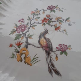 Listing 11 of 18 for AYNSLEY paradise bird DISH