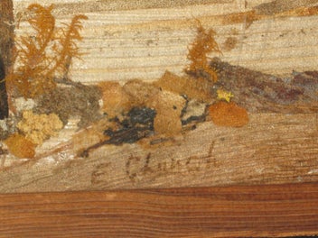 Listing 5 of 13 for E Church (Kamo) - House In The Country With Hills & Trees Original Bark Picture