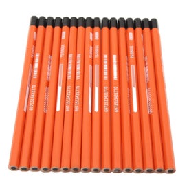 Listing 3 of 5 for charcoal pencil professional charcoal pencils 16pcs Professional Charcoal