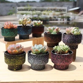 Listing 6 of 9 for ANYDECO Flower Vase Speckled Small Succulent Plant Pot Home Office Decor