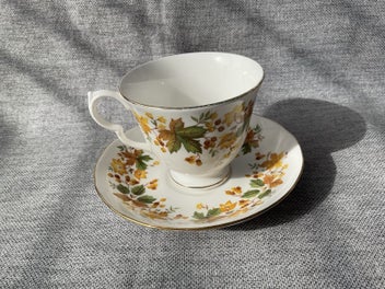 Listing 1 of 6 for Queen Anne Bone China 1960’s - Cup and Saucer - Autumn Leaves pattern 8606