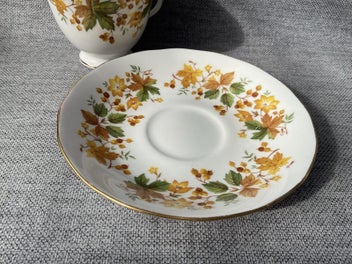 Listing 5 of 6 for Queen Anne Bone China 1960’s - Cup and Saucer - Autumn Leaves pattern 8606