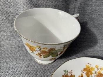 Listing 2 of 6 for Queen Anne Bone China 1960’s - Cup and Saucer - Autumn Leaves pattern 8606