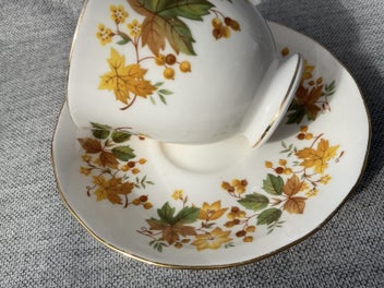 Listing 6 of 6 for Queen Anne Bone China 1960’s - Cup and Saucer - Autumn Leaves pattern 8606