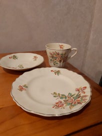 Listing 2 of 3 for J & G Meakin China Trio