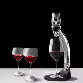 Listing 4 of 10 for Professional Red Wine Decanter Pourer With Filter Stand Holder Vodka Quick Air