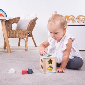Listing 5 of 8 for Bigjigs Toys 100% FSC® Certified Shape Sorter