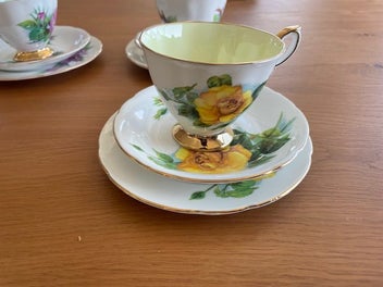 Listing 8 of 19 for PARAGON SIX WORLD FAMOUS ROSES SET