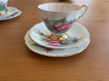 Listing 11 of 19 for PARAGON SIX WORLD FAMOUS ROSES SET