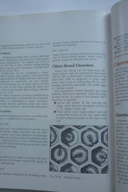 Listing 9 of 10 for Practical BeeKeeping in New Zealand