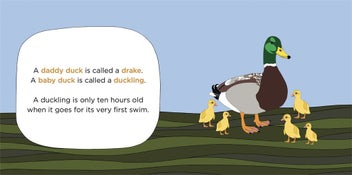 Listing 3 of 3 for The Daddy Animal Book