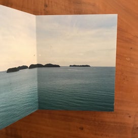 Listing 3 of 14 for SALT by Pam Goode & Chris Williams