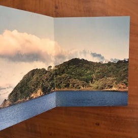 Listing 5 of 14 for SALT by Pam Goode & Chris Williams