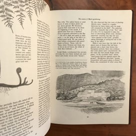 Listing 8 of 19 for 1,000 YEARS OF GARDENING IN NEW ZEALAND - *SIGNED BY AUTHOR HELEN LEACH* -