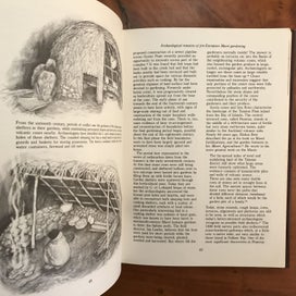Listing 9 of 19 for 1,000 YEARS OF GARDENING IN NEW ZEALAND - *SIGNED BY AUTHOR HELEN LEACH* -