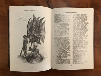 Listing 10 of 19 for 1,000 YEARS OF GARDENING IN NEW ZEALAND - *SIGNED BY AUTHOR HELEN LEACH* -