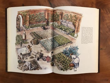Listing 12 of 19 for 1,000 YEARS OF GARDENING IN NEW ZEALAND - *SIGNED BY AUTHOR HELEN LEACH* -