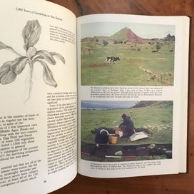 Listing 13 of 19 for 1,000 YEARS OF GARDENING IN NEW ZEALAND - *SIGNED BY AUTHOR HELEN LEACH* -