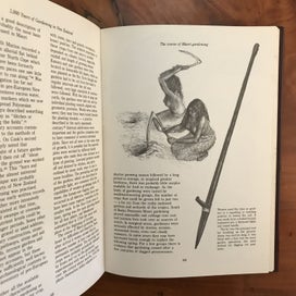 Listing 14 of 19 for 1,000 YEARS OF GARDENING IN NEW ZEALAND - *SIGNED BY AUTHOR HELEN LEACH* -