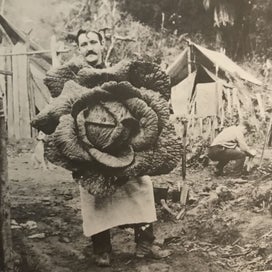 Listing 15 of 19 for 1,000 YEARS OF GARDENING IN NEW ZEALAND - *SIGNED BY AUTHOR HELEN LEACH* -
