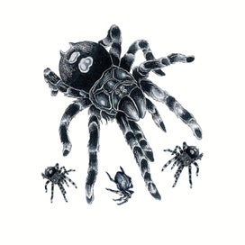 Listing 2 of 5 for Colorful Waterproof Tattoo Sticker With Tattoo Sticker