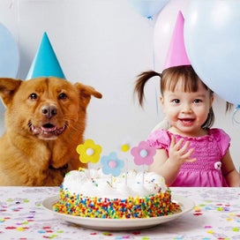 Listing 5 of 5 for Flower Cake Topper Kit - Decorate Your Birthday Party With Multicolor Flower Cup