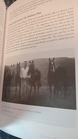 Listing 5 of 11 for A Stockman's Gift A Legacy For Waikato Bryant Trust Hamilton history NZ