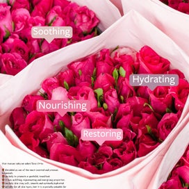 Listing 4 of 6 for DR ORGANIC ROSE OTTO NIGHT CREAM | Intensive Moisture | Visibly Rejuvenated