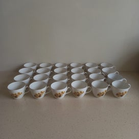 Listing 5 of 12 for Constantia Fine China RSA - Delilah - 24 Teacup, Saucer, Side & Main Plate Sets