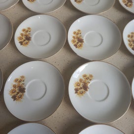 Listing 8 of 12 for Constantia Fine China RSA - Delilah - 24 Teacup, Saucer, Side & Main Plate Sets