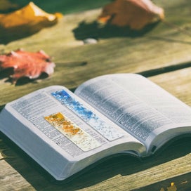 Listing 4 of 9 for Silicone Mold Resin Epoxy Moulds