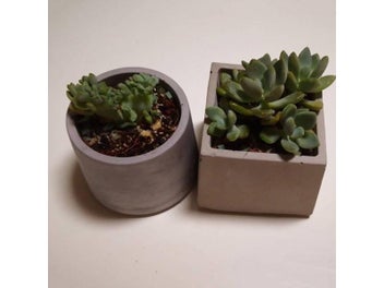 Listing 3 of 10 for Silicone Concrete Flower Pot Molds For Succulents More