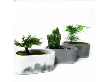 Listing 7 of 10 for Silicone Concrete Flower Pot Molds For Succulents More