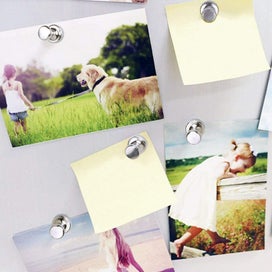 Listing 12 of 13 for 12pcs Strong Fridge Magnets Neodymium Magnetic Crafts Whiteboard Push Pins