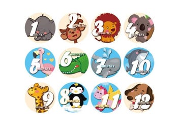 Listing 6 of 10 for 12 Pcs Month Sticker Baby Photography Milestone Memorial Monthly Newborn Kids