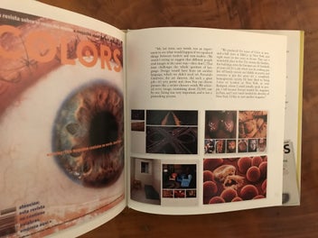 Listing 10 of 13 for TIBOR KALMAN by Liz Farrelly