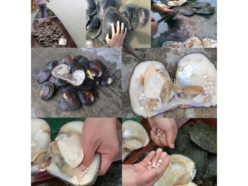 Listing 5 of 10 for Natural Freshwater Pearl Beads High Quality Irregular Punch Loose Beads For