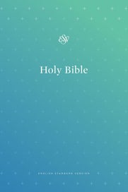 Listing 1 of 2 for ESV Outreach Bible (Paperback, Blue)