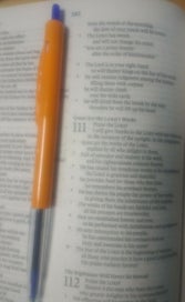 Listing 2 of 2 for ESV Outreach Bible (Paperback, Blue)