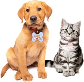 Listing 7 of 9 for 111pcs Pet Bone Paw Acrylic Discs Keychain Blanks Making Kit