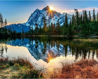 Listing 10 of 10 for DIY Oil Painting Art Kit