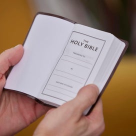 Listing 3 of 9 for KJV Holy Bible: Pocket New Testament with Psalms and Proverbs, Brown Leatherfl